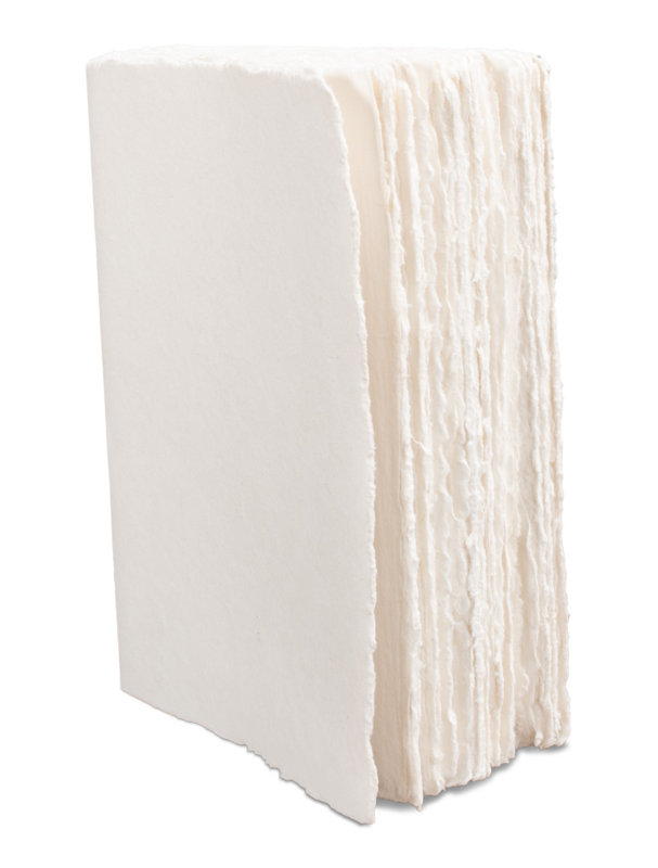Ledger White