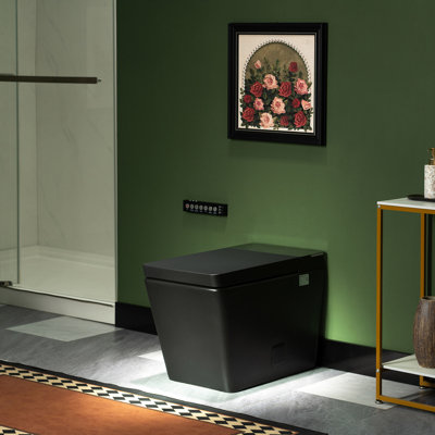 Toilette à bidet intelligente à une pièce Flint