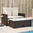 Ebern Designs Patio Sofa With Cushions 2-Seater Poly Rattan-107166780-107166754
