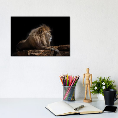 Lazarus 1 Piece Wall Art on Canvas