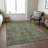 Bridesdale Washable Oriental Indoor / Outdoor Rug-1273813670