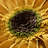 Appliqued Floral Accent Pillow Cover Sunflower Decorative Throw Pillow Case 18in-1947739856