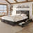 Revan Farmhouse Queen Platform Bed With Barn Door Design, Dark Oak-1170512173-1170512182