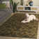 Dunbar Hand Tufted Wool Floral Rug