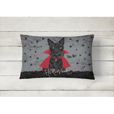 Outdoor Throw Pillow