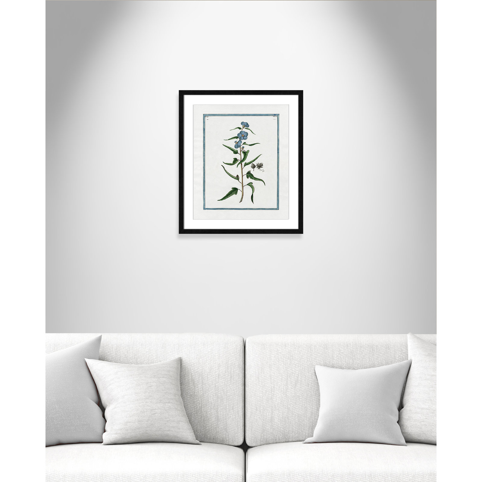 Colombe "Shabby Elegance Botanical I" Print, Black Framed, 16" W x 19" H