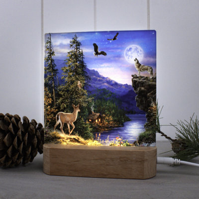 Welcome to the Woods Night Light