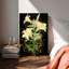 Dreamy Luxury-1658212100