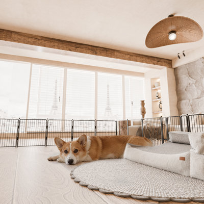 Parc pour chien Hearthfur 36 pouces 12 panneaux pour l'intérieur et l'extérieur