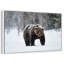 Ours grizzly d'hiver-2043175052-2043175050