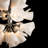 Mobius 16 - Light Sputnik Sphere Chandelier-773088406