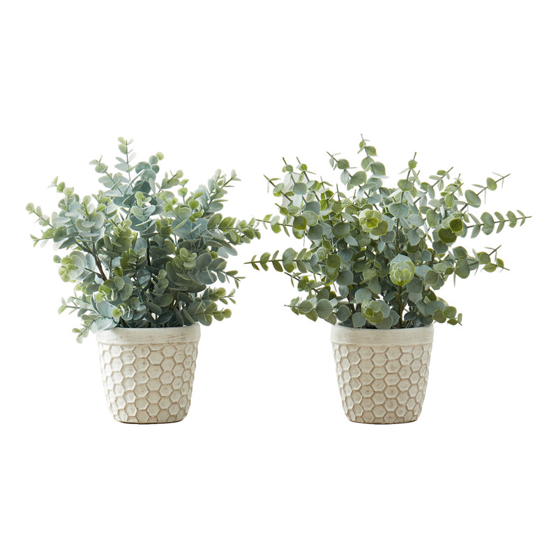 Mcclain 12.5'' Faux Eucalyptus Plant in Cement Pot, White