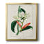 Toile encadrée Turpin Tropical Botanicals-903611018-903611019
