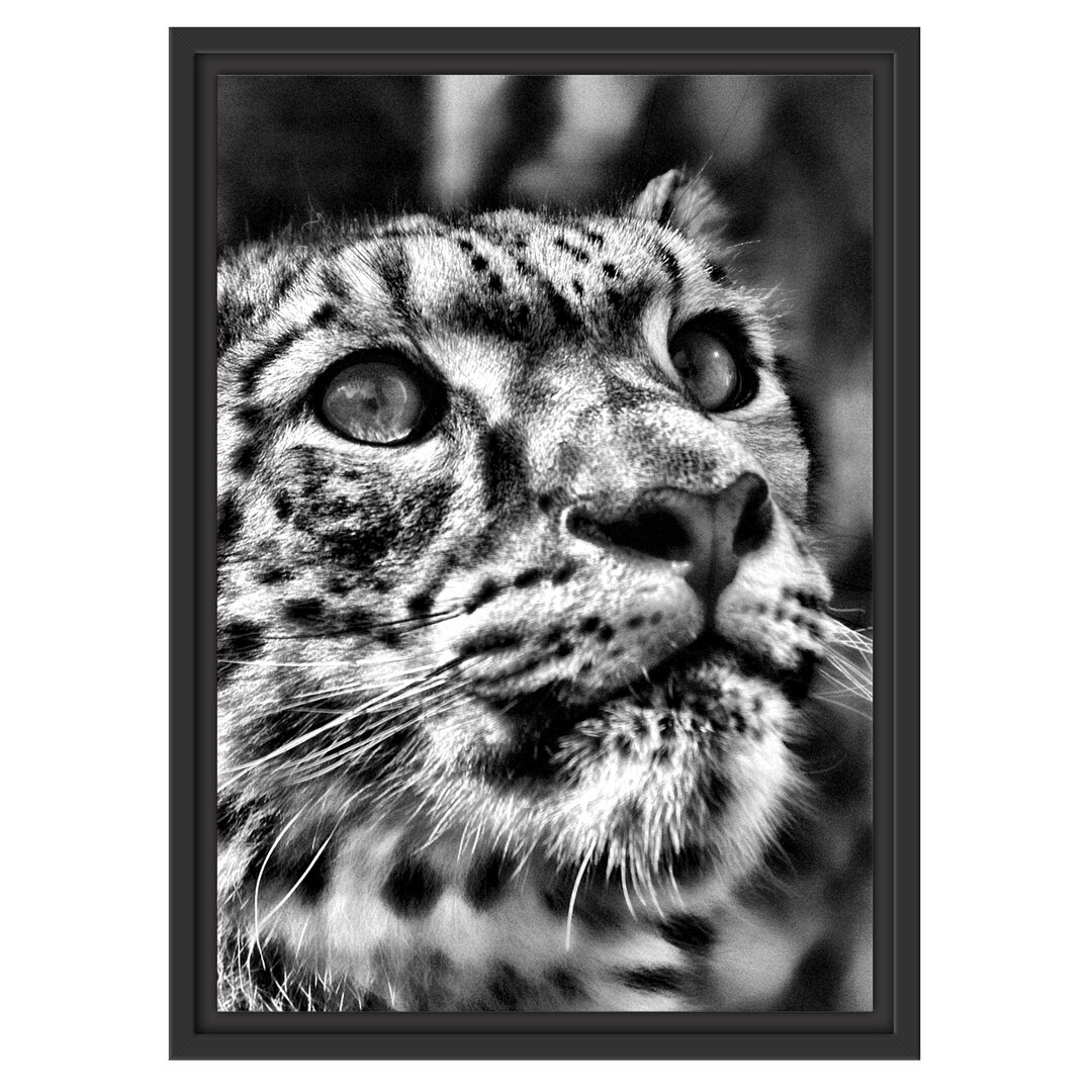 Gerahmtes Wandbild Leopard