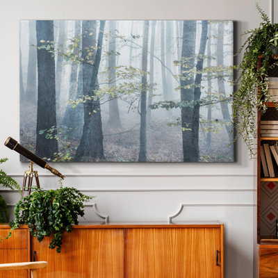 «Chalky Misty», reproduction de photo sur toile tendue