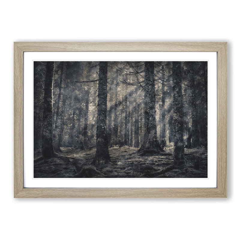 Pine Tree Forest - Picture Frame Graphic Art Print, 45cm H x 63cm W x 2cm D, Oak