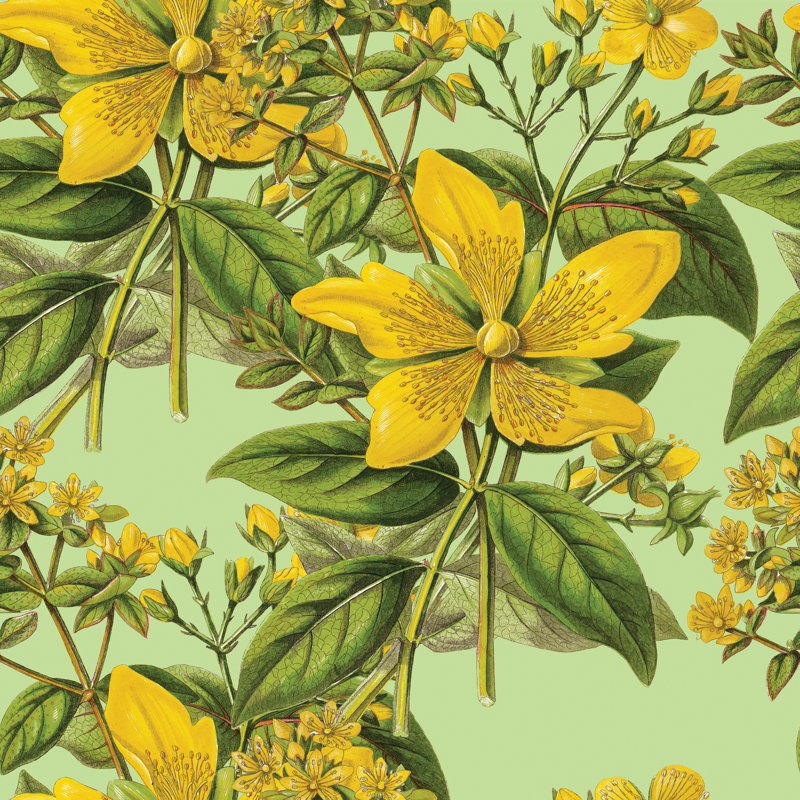 Ictorian Botanical by Bauhaus1000 - Wrapped Canvas Print, 76cm H x 76cm W