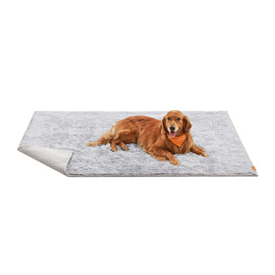 Dog Blankets