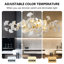 Lustre à 6 lumières 47,2 po Kedarian-2049502568