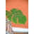 Monstera Leaf Arrangement