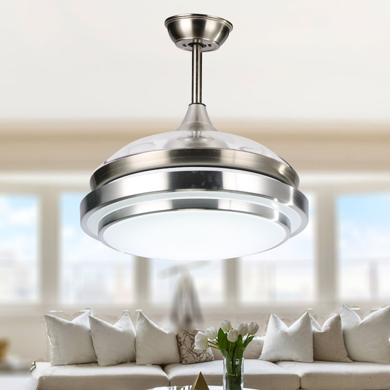 Deljunco 36'' Ceiling Fan with LED Lights