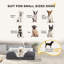 Polyester Pet Bed-101277150-101277148
