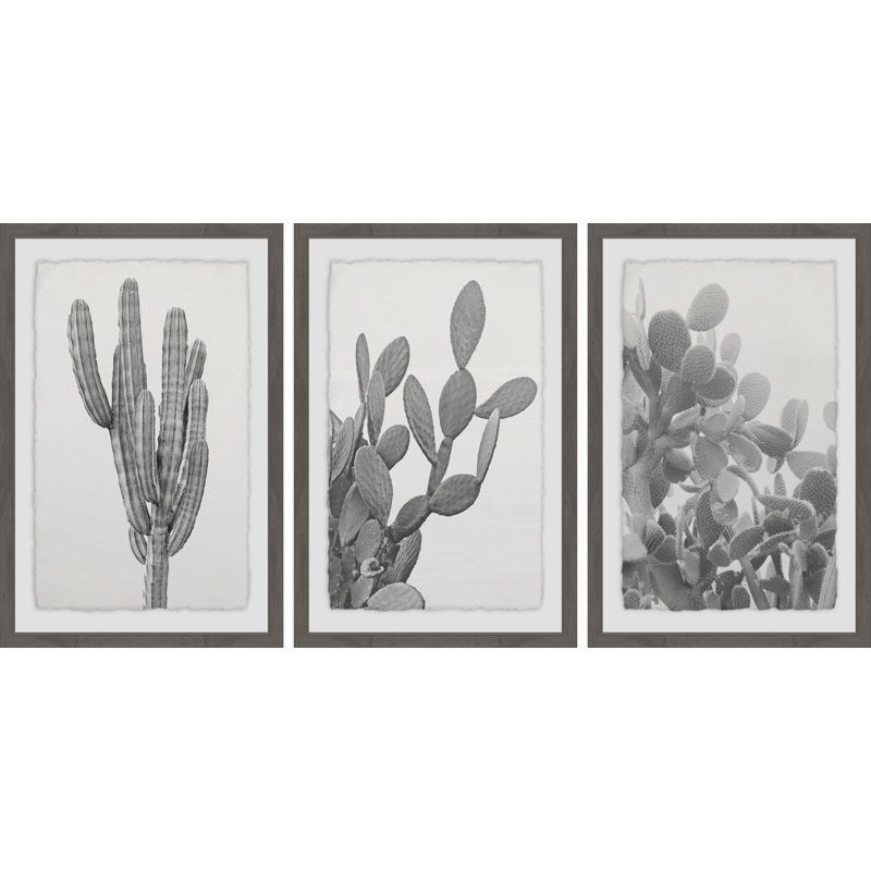 « cactus triptyque », ensemble de 3 reproductions de photos encadrées, H 18 po x l 12 po x L 1,5 po