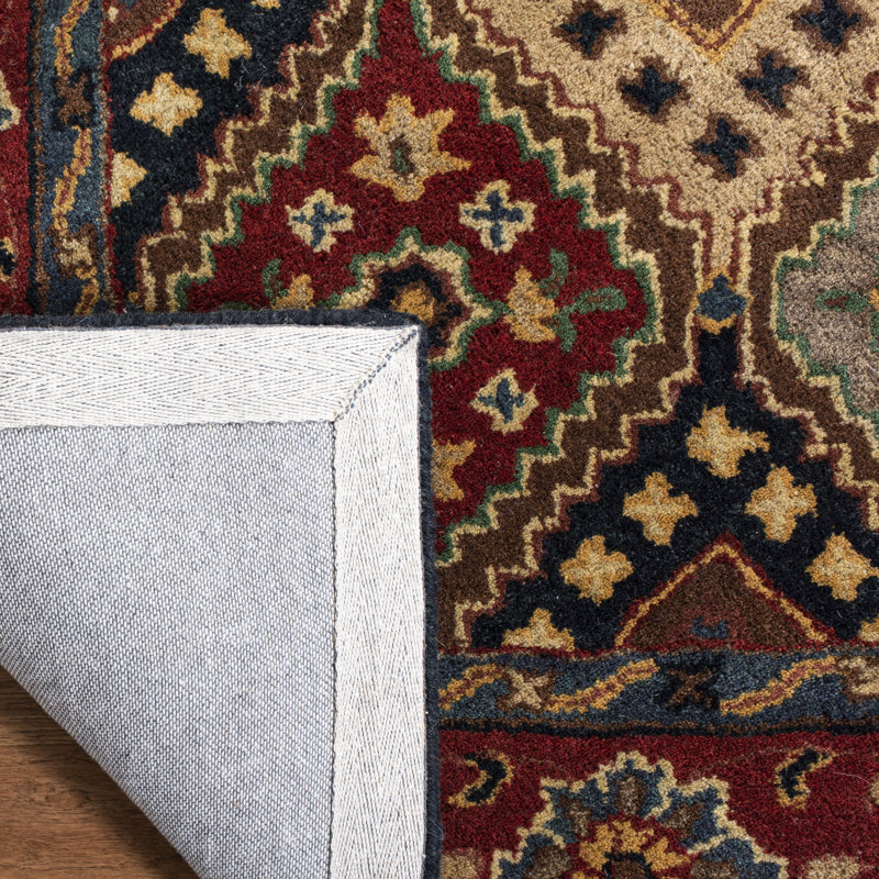 Dipietro Hand Loomed Wool/Cotton/Latex Oriental Rug in Red/Beige, Rectangle 3' x 5'