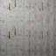 Forest Glyphs