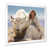 Gold Picture Framed