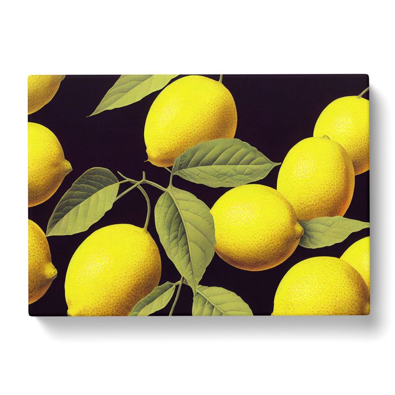 Selection Of Lemon Fruit Vol.1 - Wrapped Canvas Print, 40cm H x 60cm W x 3cm D