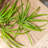 39.7 " H Faux Fern Branch-478855643