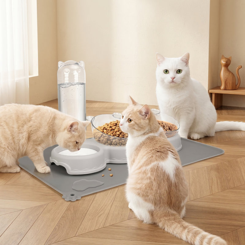 Bols surélevés 3 en 1 pour nourriture et eau avec bouteille d'eau automatique et tapis imperméable pour chats / petits chiens