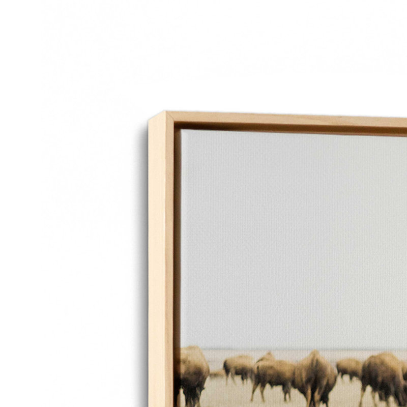 Impression sur toile Wild Plains, Cadre américain en érable flottant, H 12,75 po x l 18,75 po x P 1,75 po