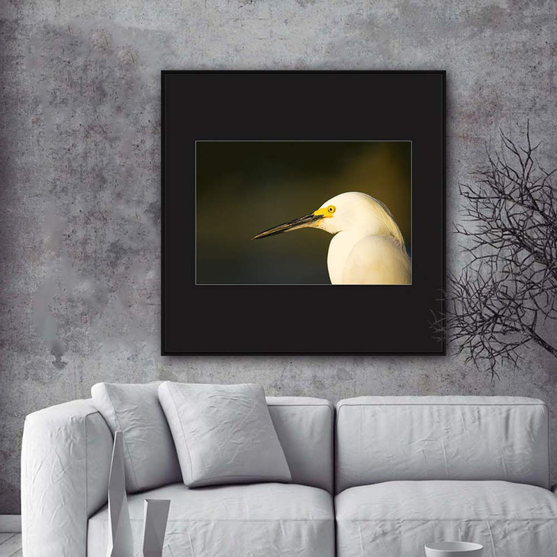 H03 A Bird debout, reproduction sur toile, Noir, H 24 po x l 24 po