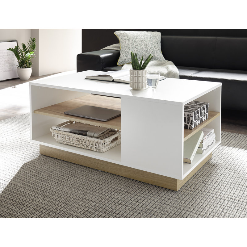 Alleana Block Coffee Table with Storage