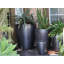 Catalina Pots By -415856418