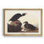«Black or Surf» - reproduction de cadre photo sur toile-2036087393-2036087418