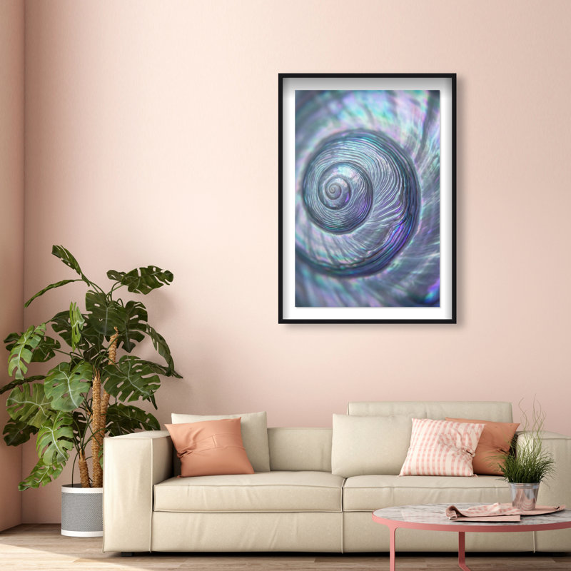 Sea Spiral Print by Oliver Gal, 16.5"H x 11.5"W, Black Shadowbox