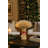 Decorative Accent
