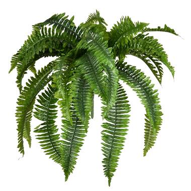 17 Stories Faux Fern Plant & Reviews