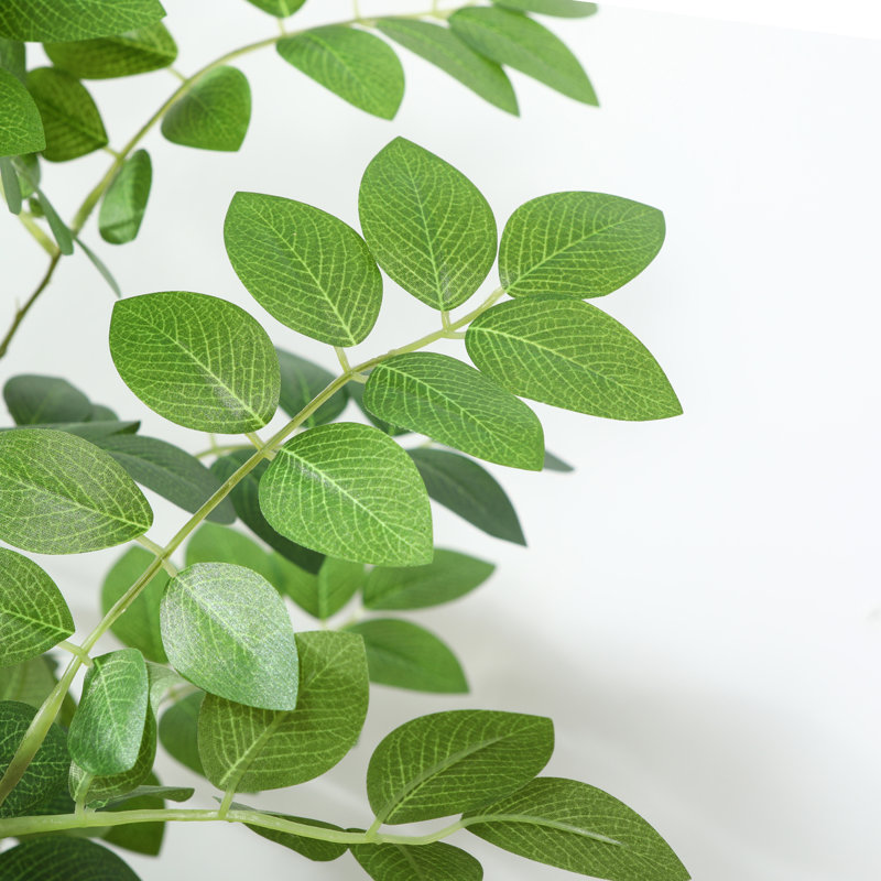 Faux Moringa Oleifera Tree in White Planter, Lifelike Fake Plant for Indoor and Outdoor Decor, 70" H x 18" W x 18" D