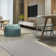 Zapheira Solid Color Machine Woven Polyester Area Rug in Gray