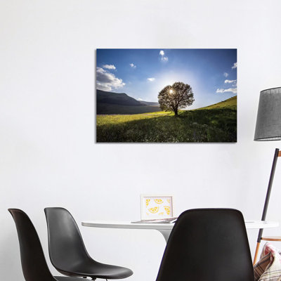 Italy, Castelluccio, Piano Grande. Backlit Tree At Sunset. by Jaynes Gallery - Wrapped Canvas Print
