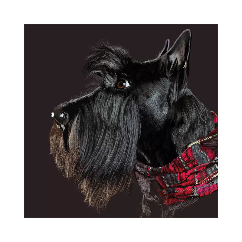 «Scottie In Scarf» par Vicki Newton - peinture sur toile tendue, H 12 po x l 12 po x P 0,75 po
