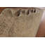 Tapis traditionnel 10 x 12