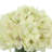 Hydrangea Arrangement in Vase