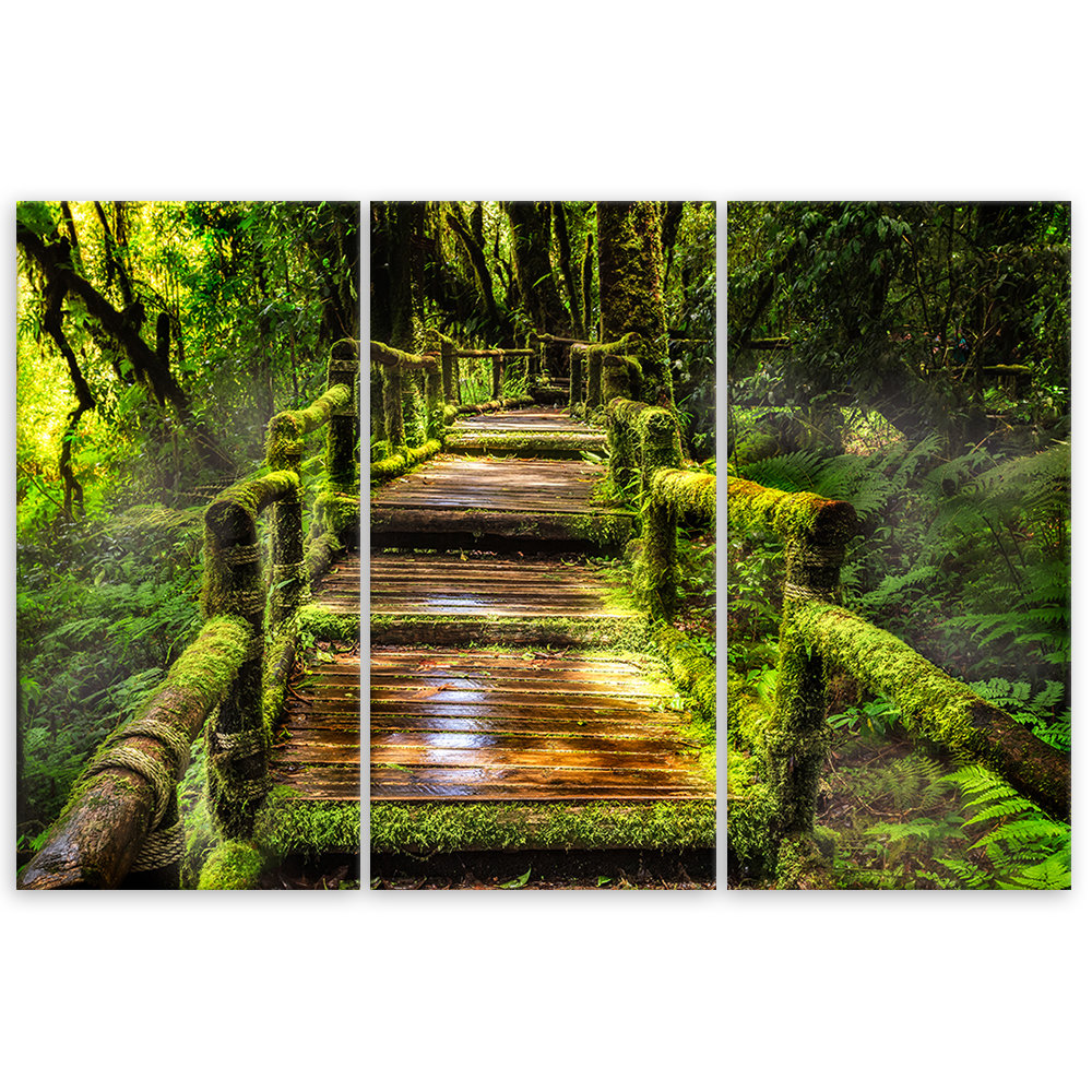 Leinwandbild Forest Bridge Nature Green