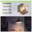 52" Black Ceiling Fan with Lights and Remote Control Patio Ceiling Fan with 5 Reversible Wooden Blades 3 Color LED Light-1388390337