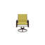 Aruba 1 Outdoor Dining Armchair-9876288-9876274